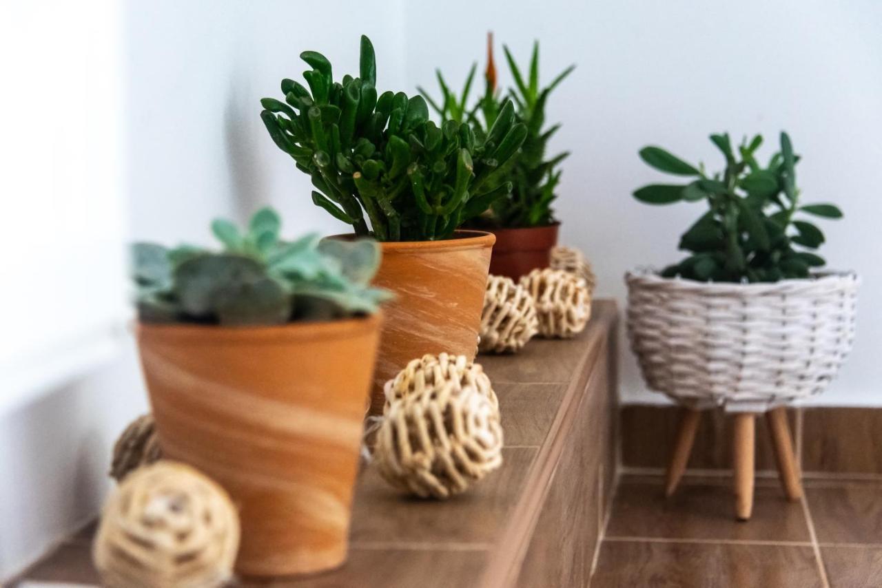 Hauptman Apartman Nagyatád Esterno foto
