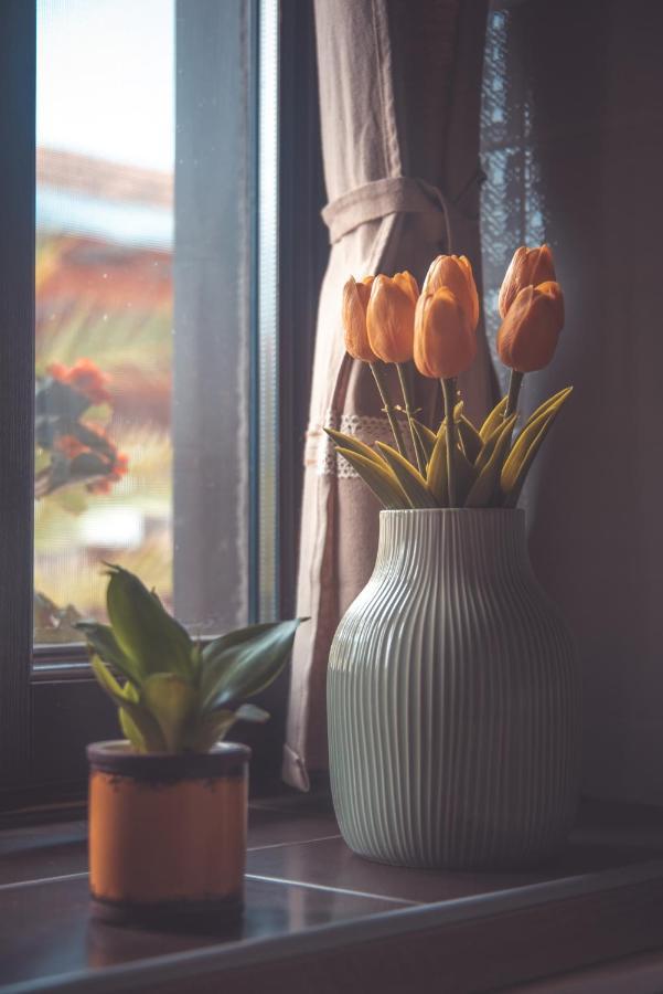 Hauptman Apartman Nagyatád Esterno foto